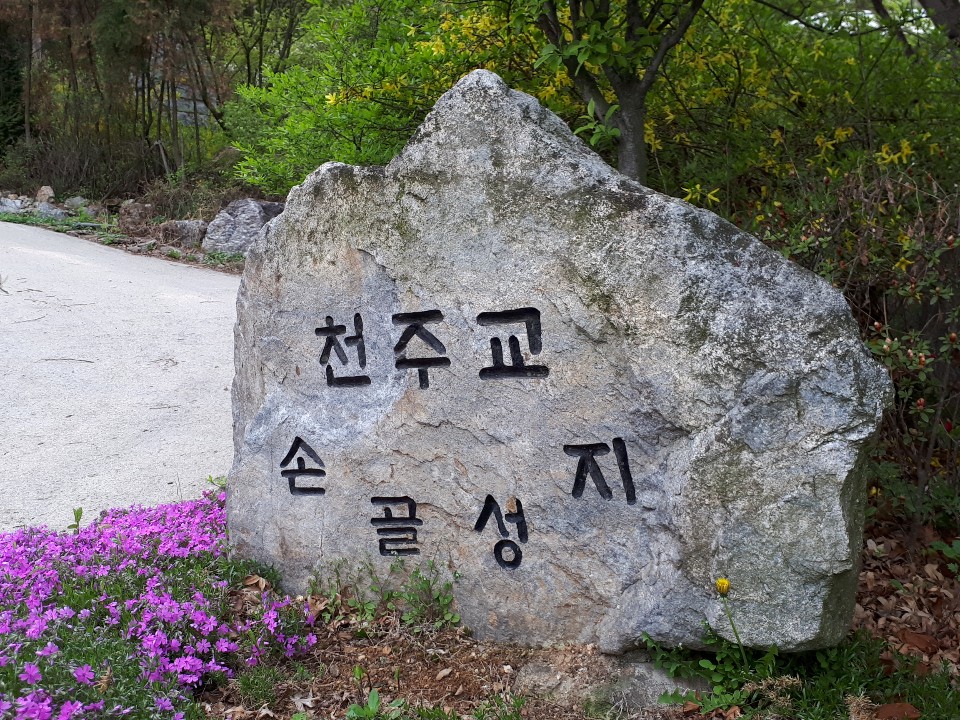 IMG-8190.JPG