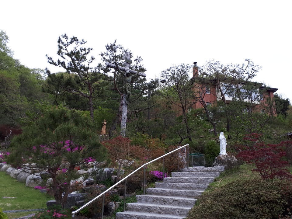 IMG-8194.JPG