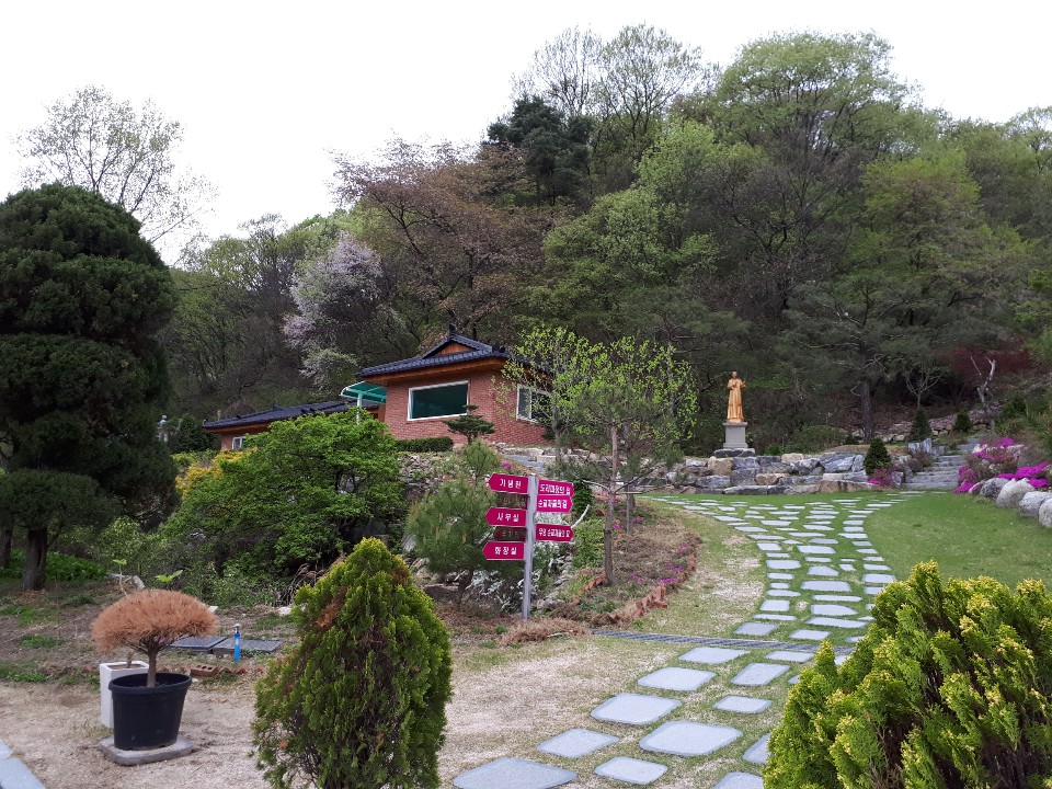 IMG-8196.JPG