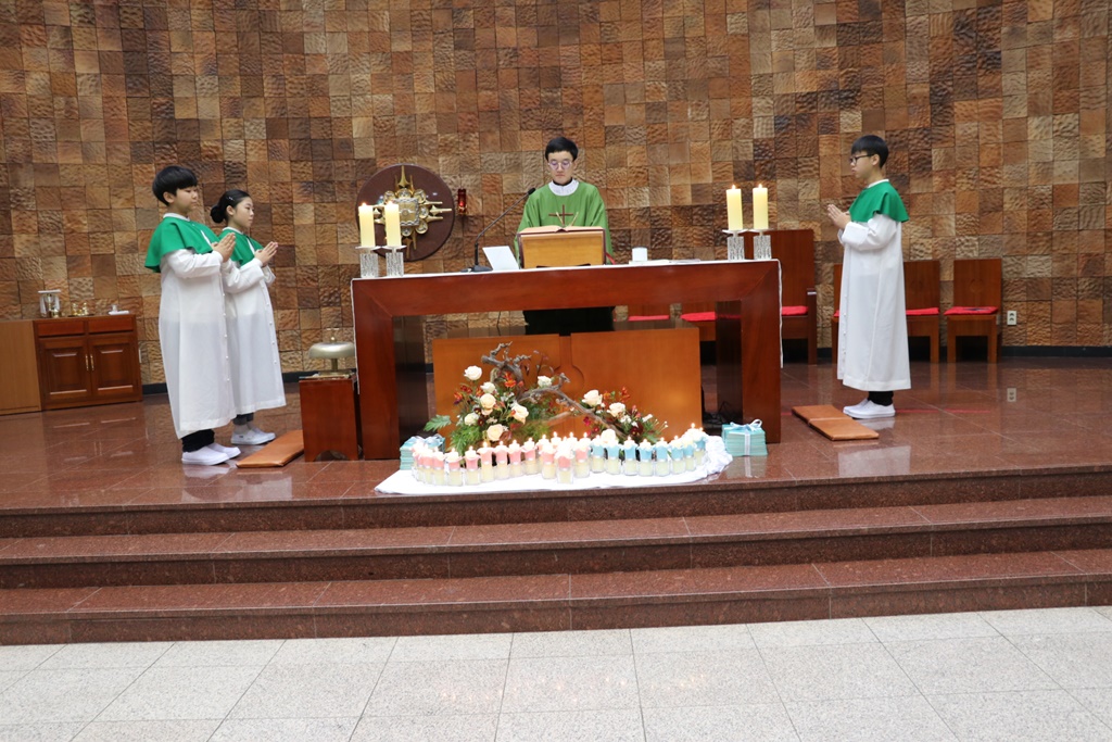 IMG_7335.JPG
