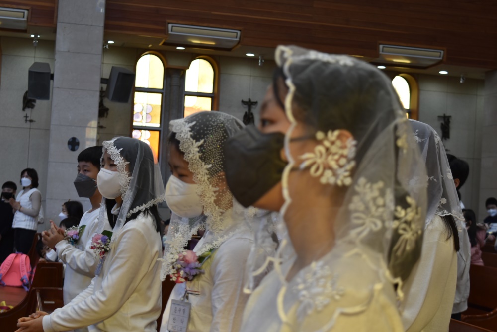 DSC_7172.JPG