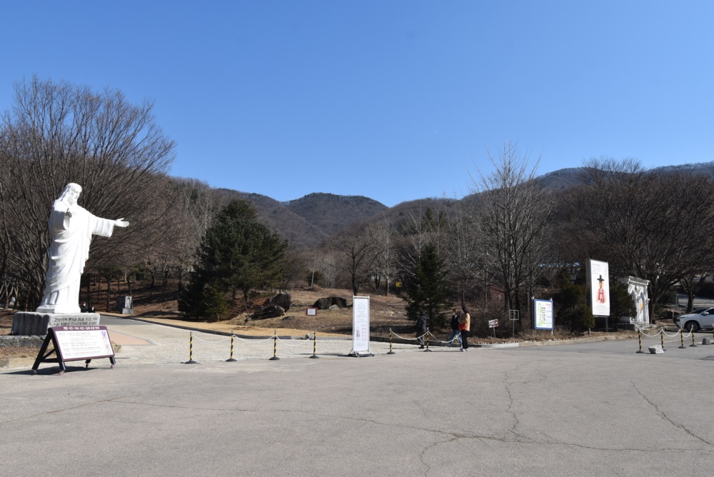 DSC_7215.JPG