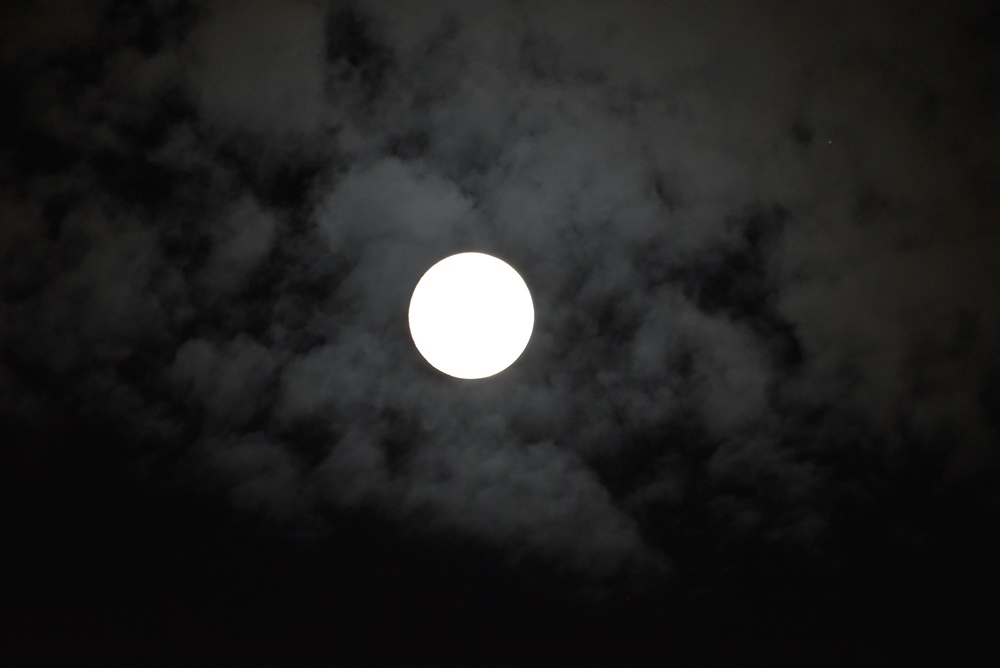 DSC_0762.JPG