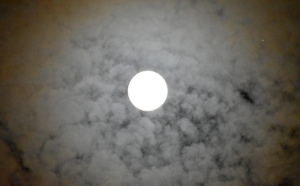 DSC_0763.JPG