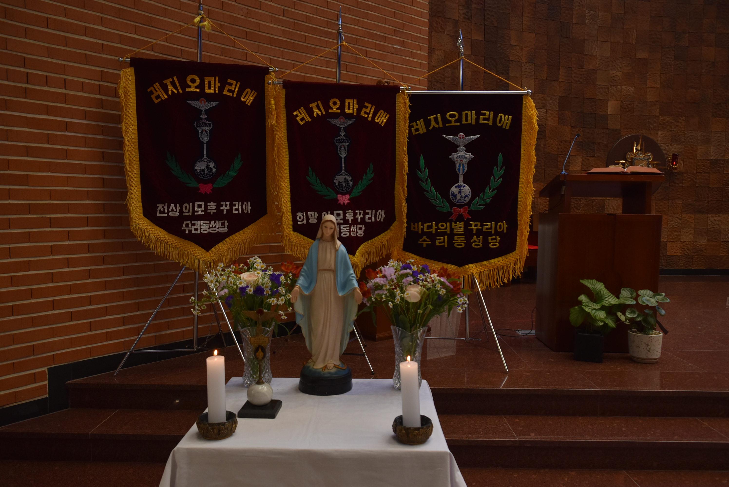 DSC_5618.JPG