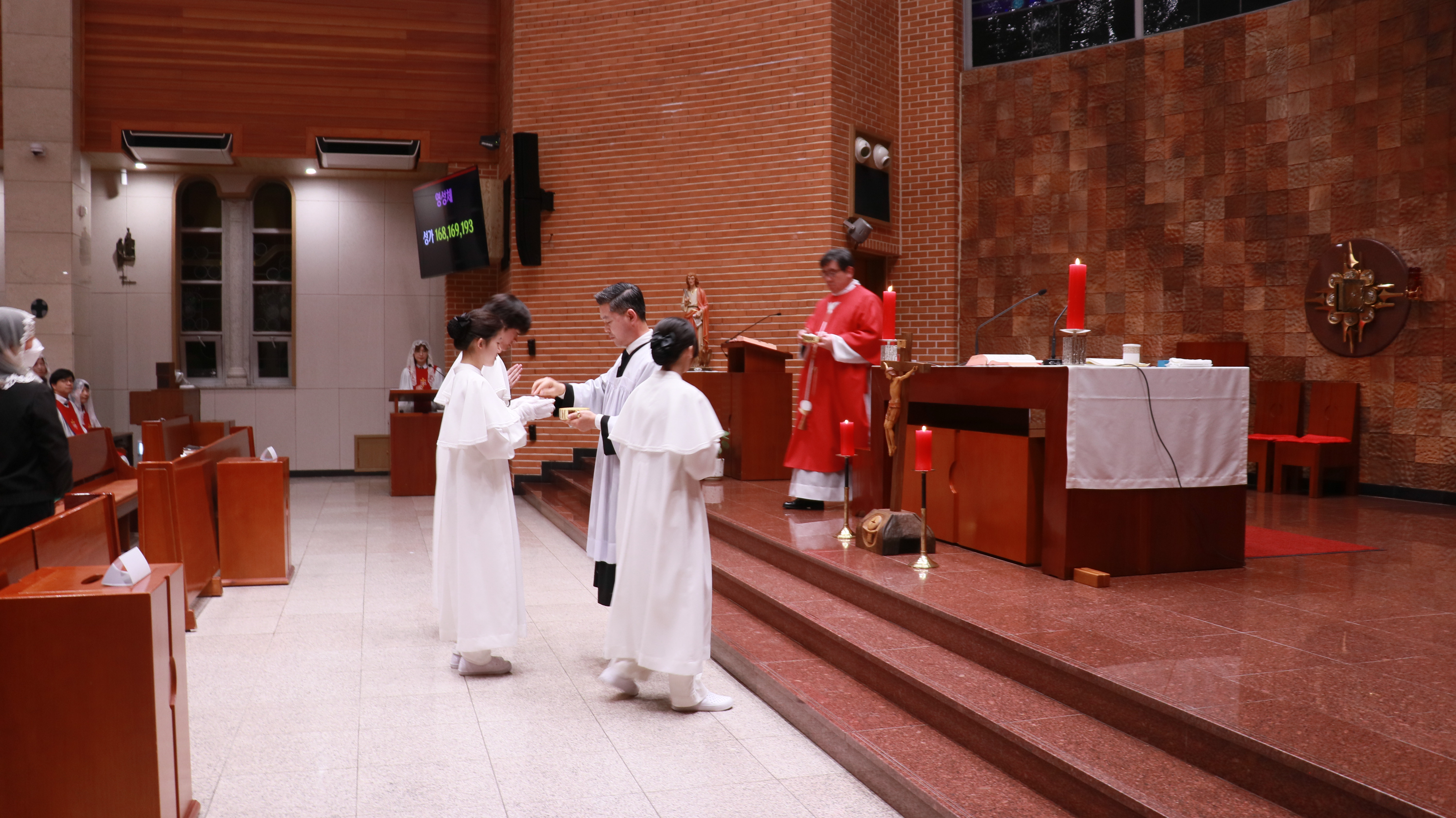 IMG_7369.JPG