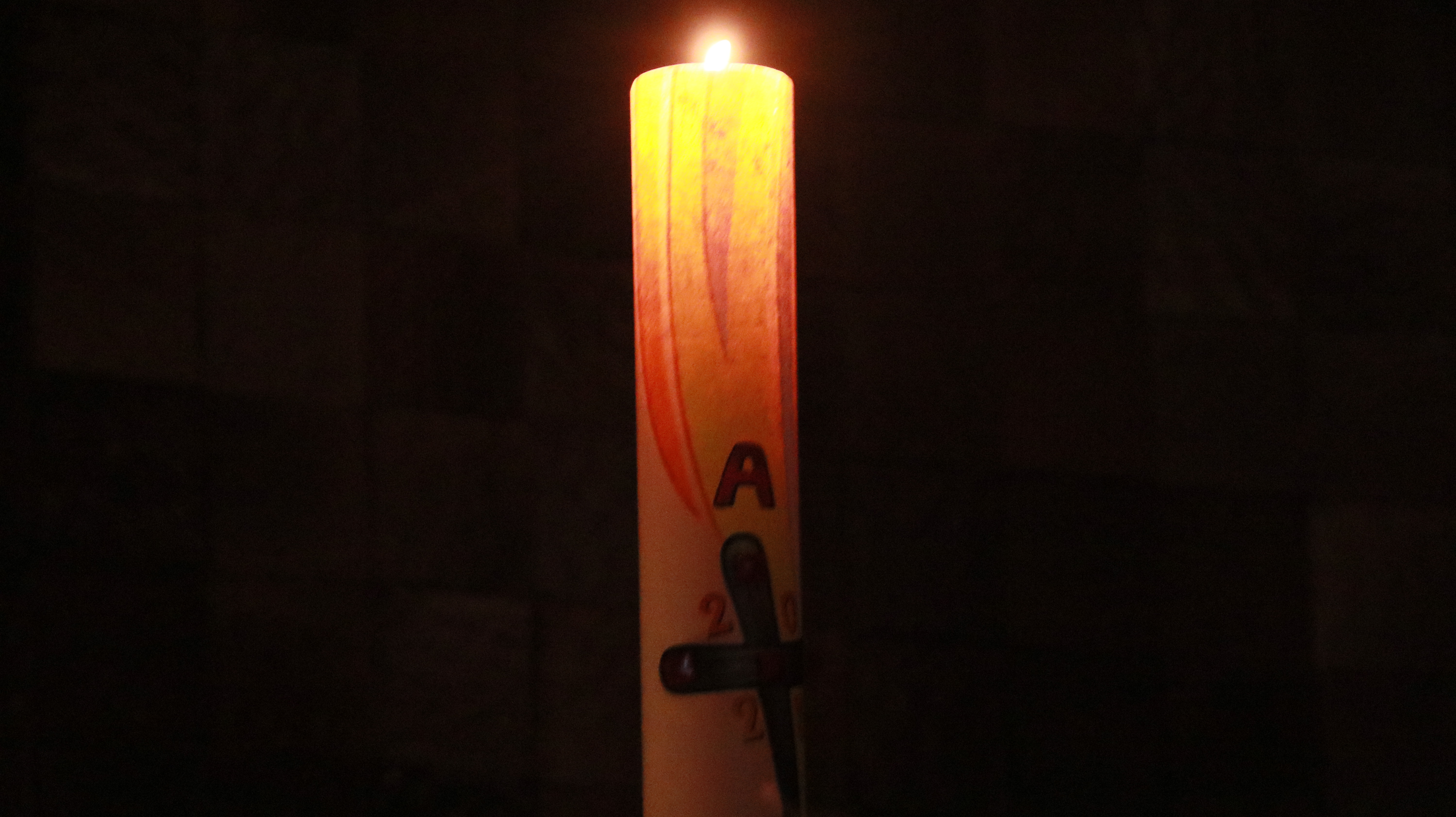IMG_7482.JPG