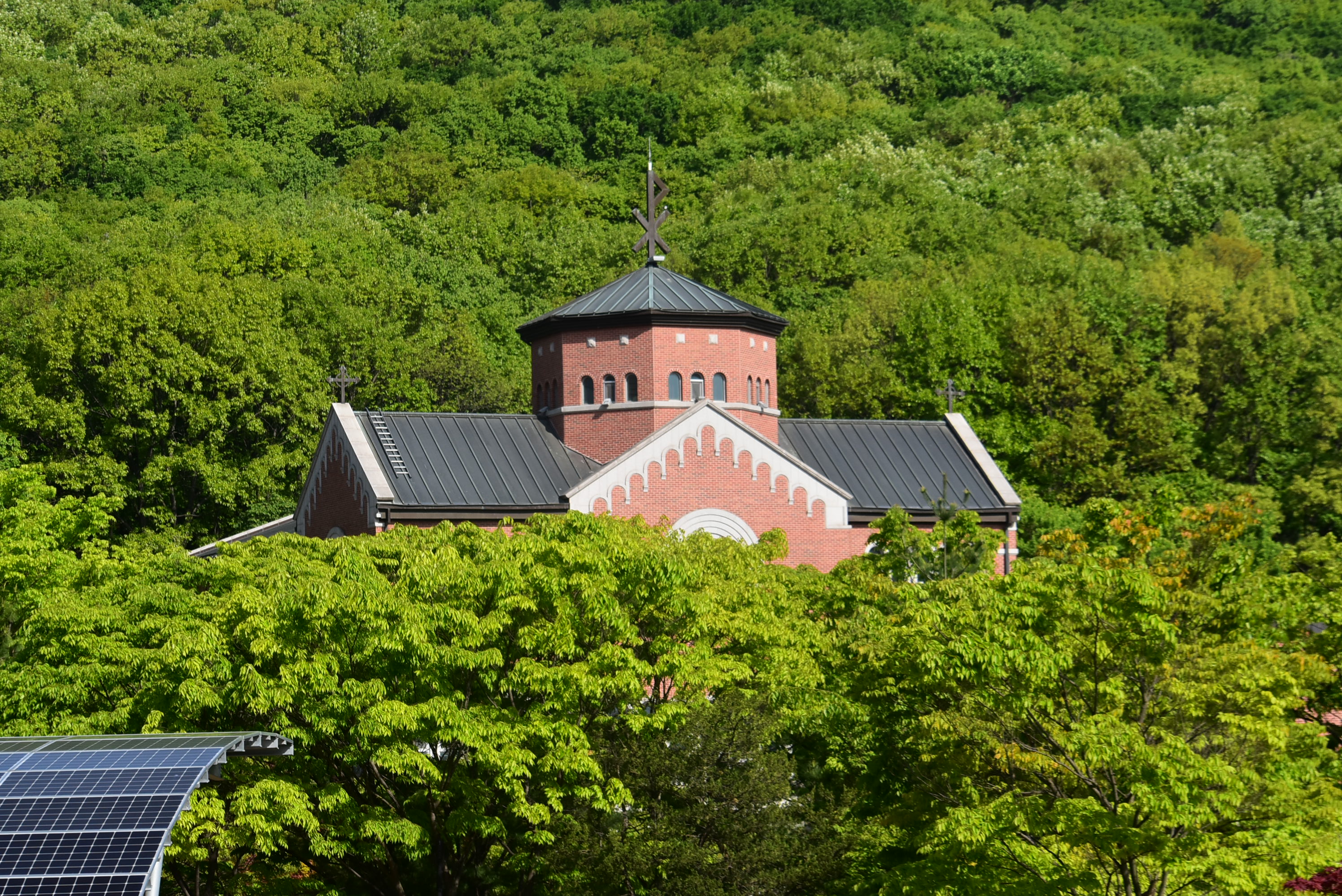DSC_6069.JPG