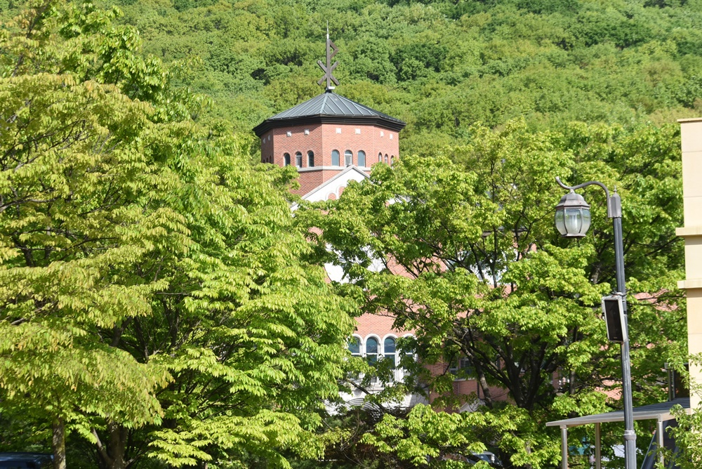 DSC_6070.JPG