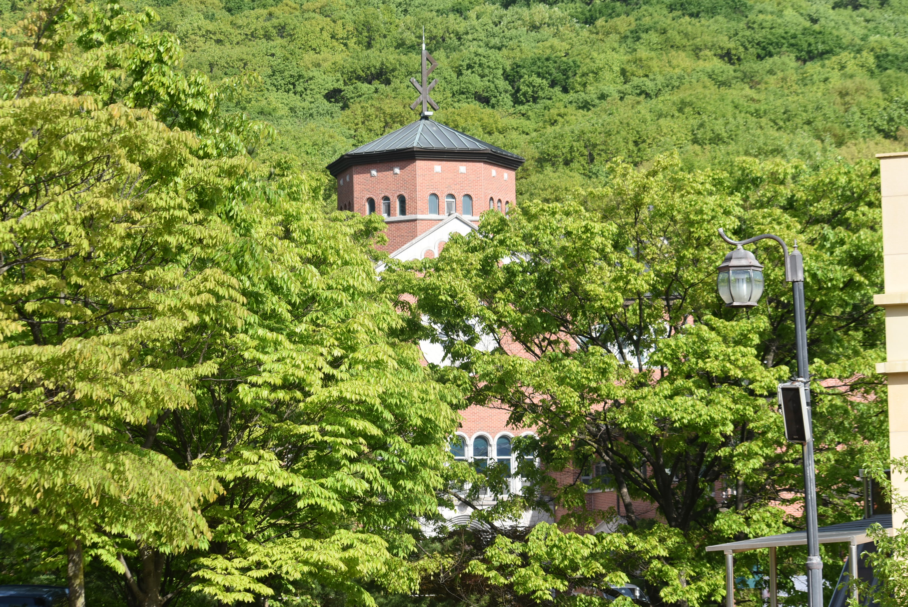 DSC_6070.JPG