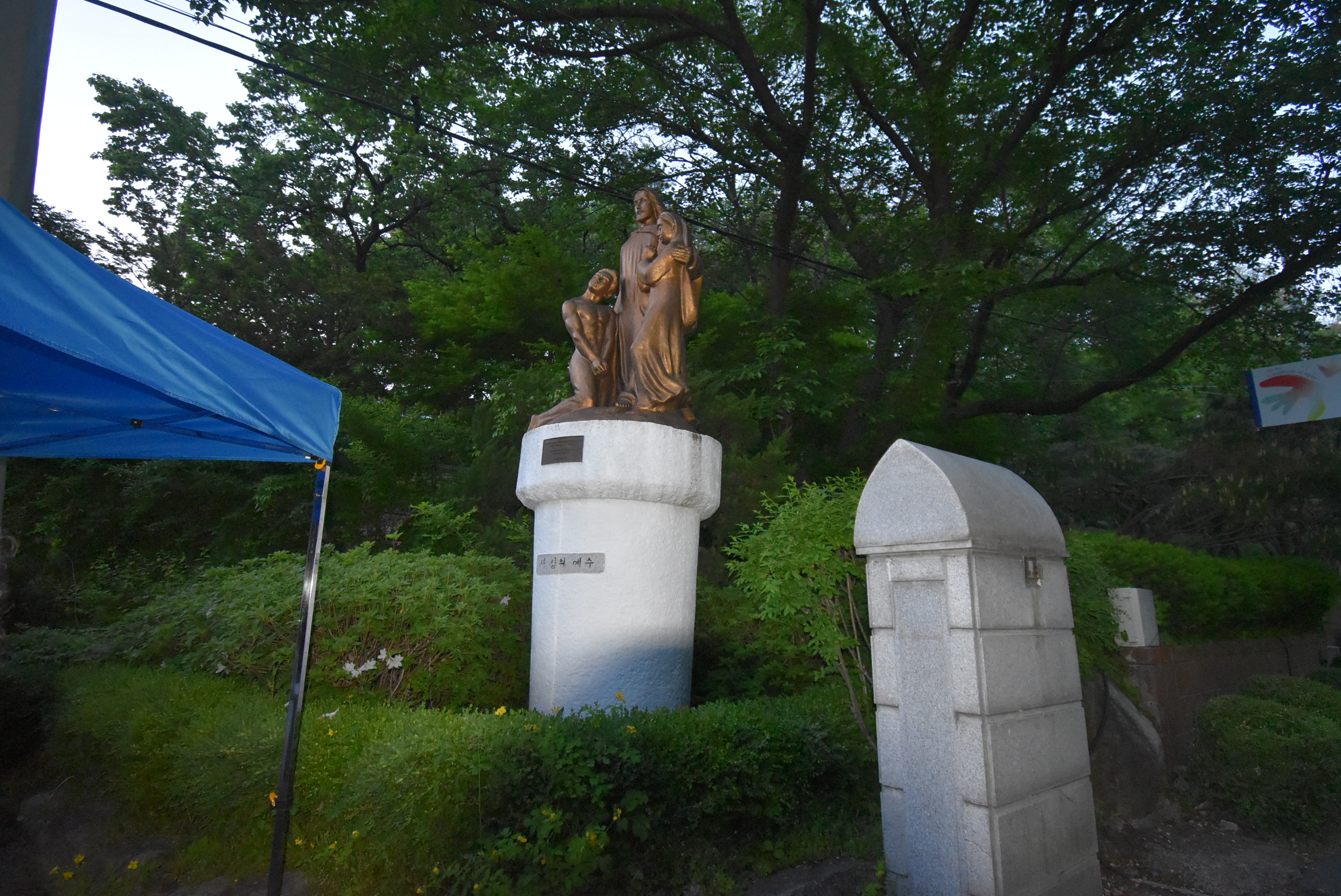 DSC_6160.JPG
