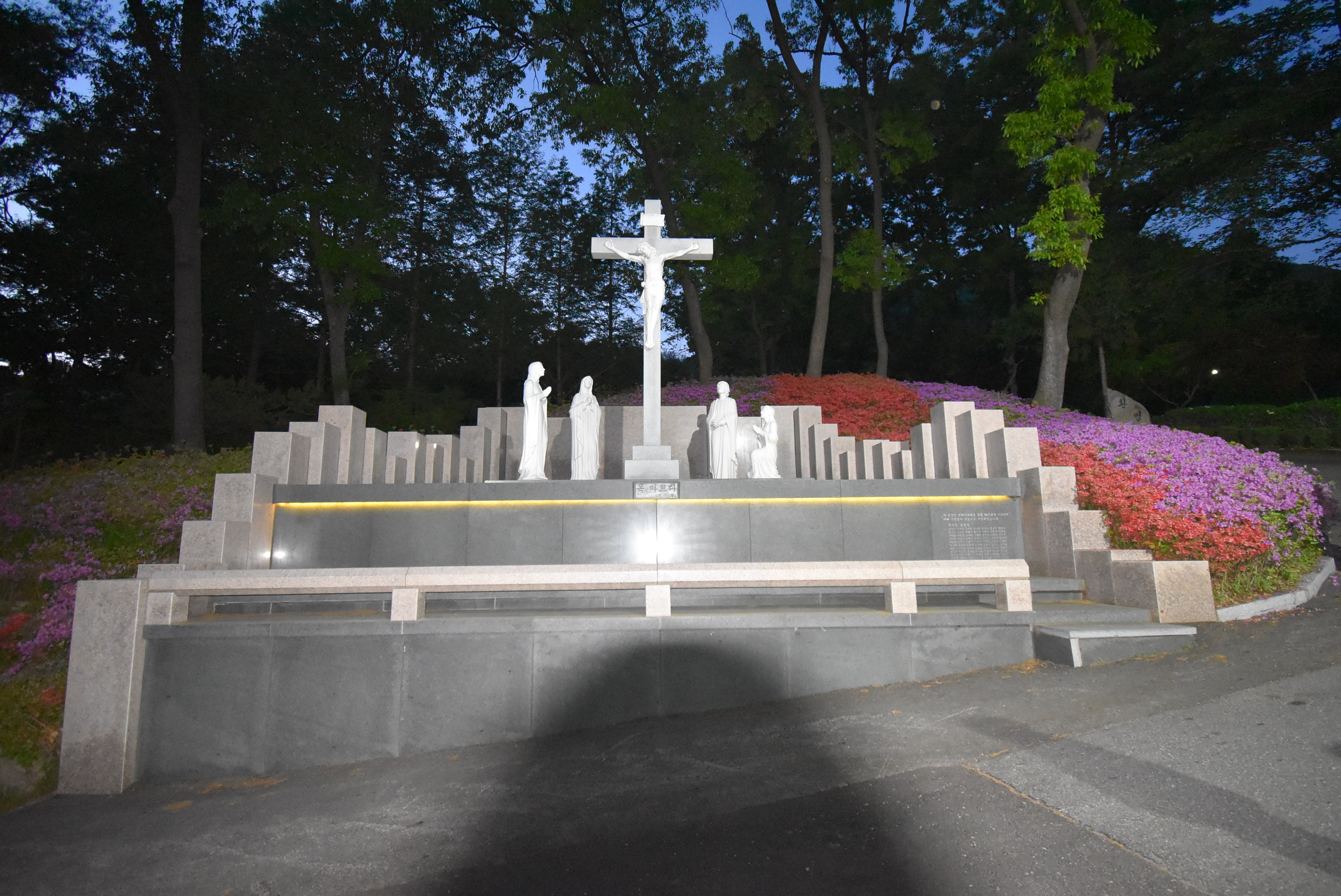 DSC_6163.JPG