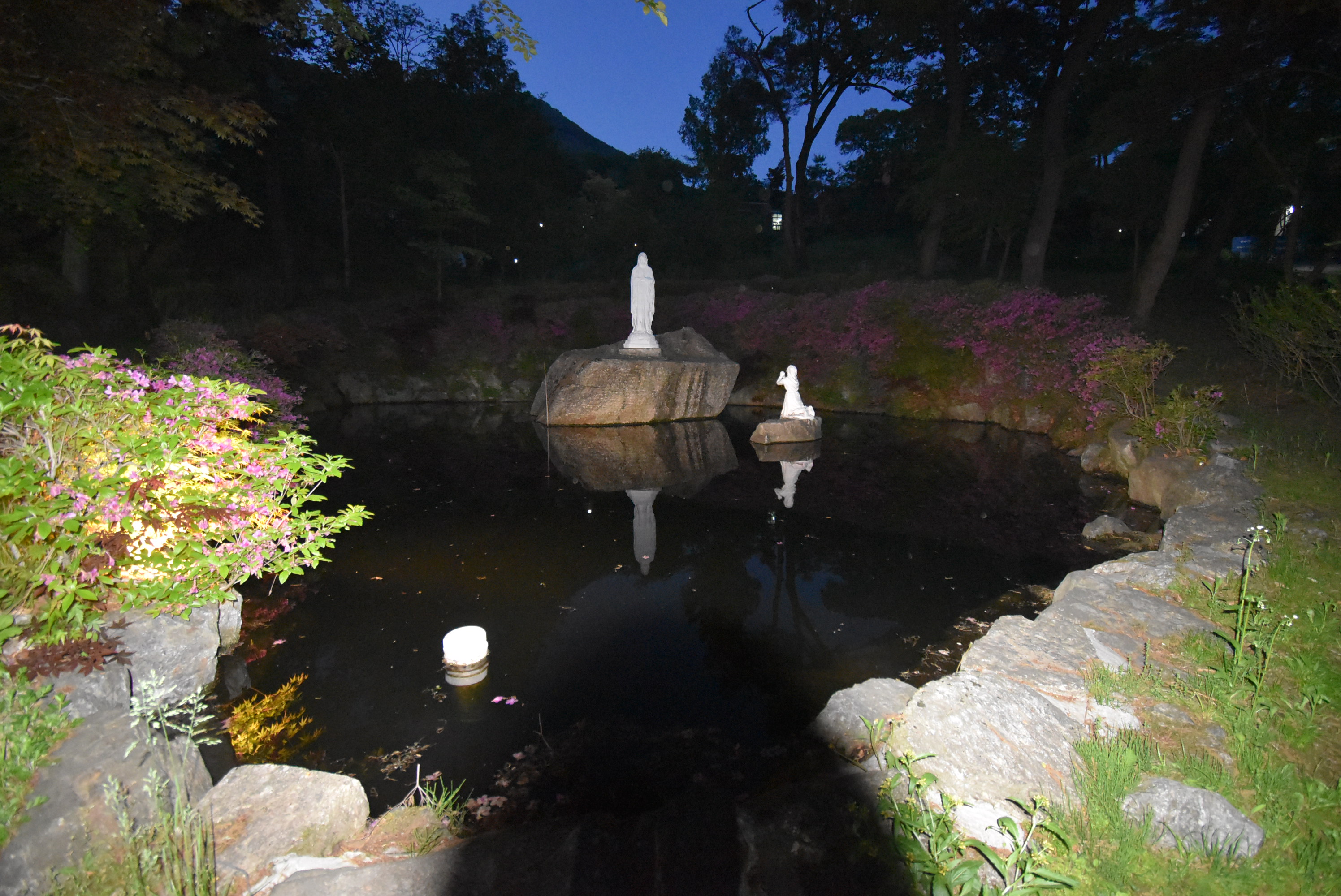 DSC_6165.JPG