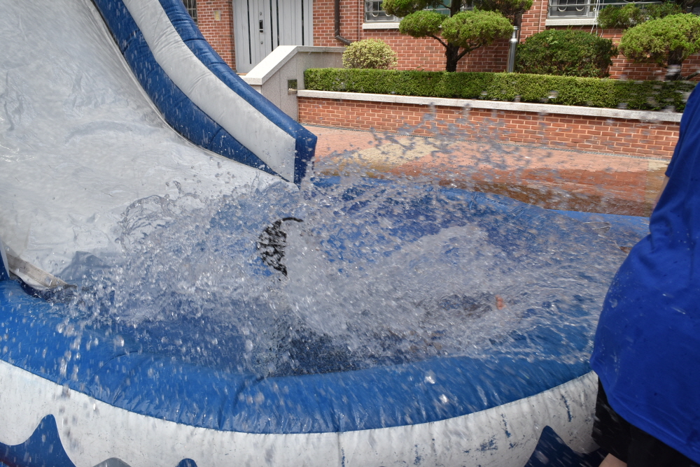 1000-DSC_6794.JPG