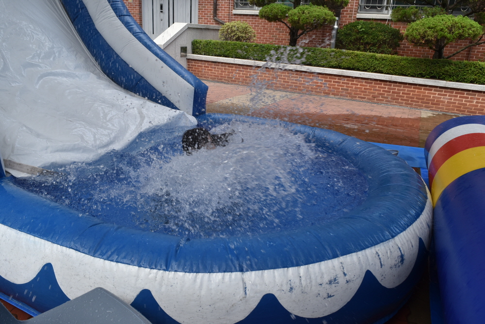 1000-DSC_6799.JPG