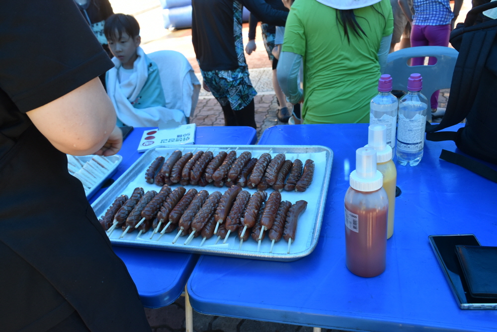 1000-DSC_6805.JPG