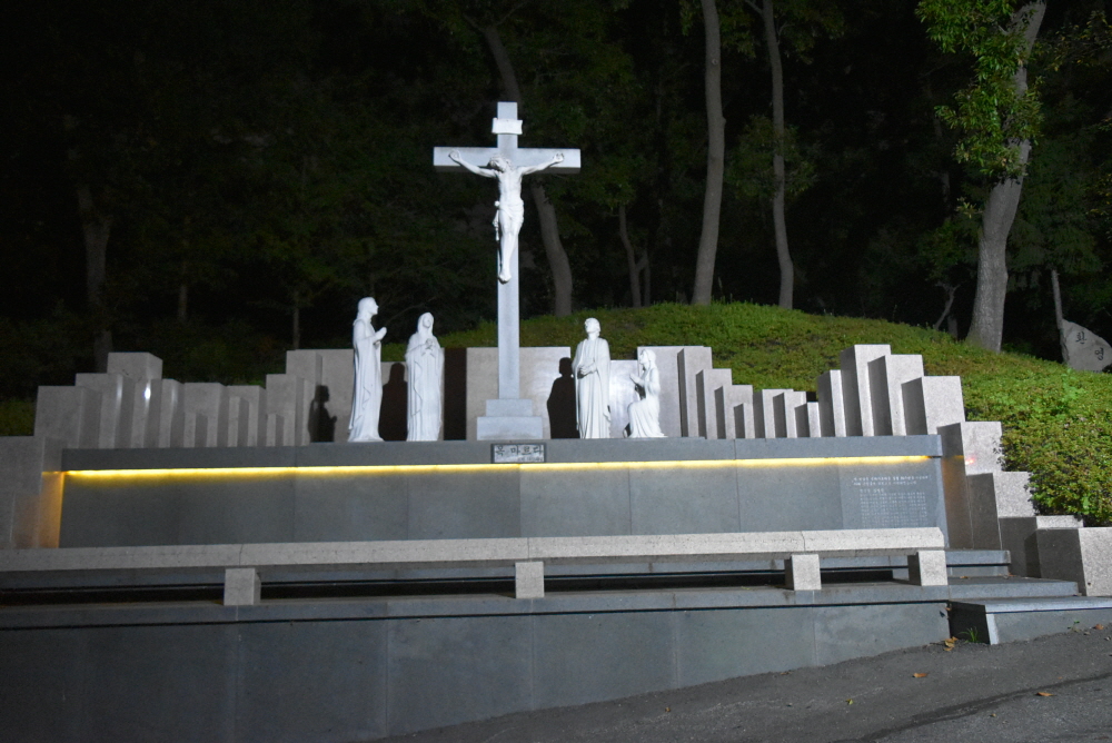 1000-DSC_7388.JPG