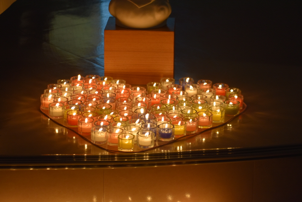 1000-DSC_7531.JPG