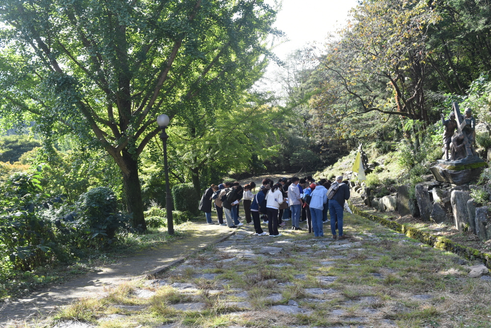 1000-DSC_7736.JPG