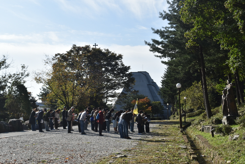 1000-DSC_7772.JPG