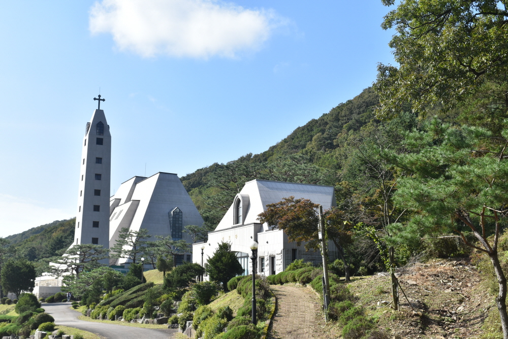1000-DSC_7845.JPG