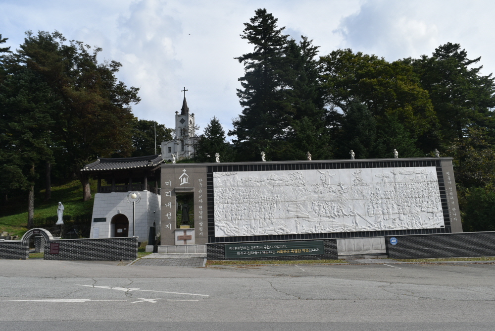 1000-DSC_7949.JPG