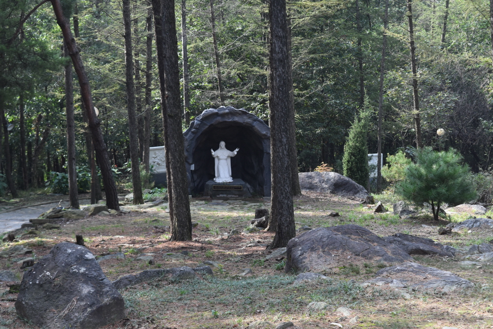 1000-DSC_7970.JPG