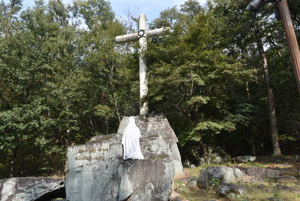 1000-DSC_7972.JPG