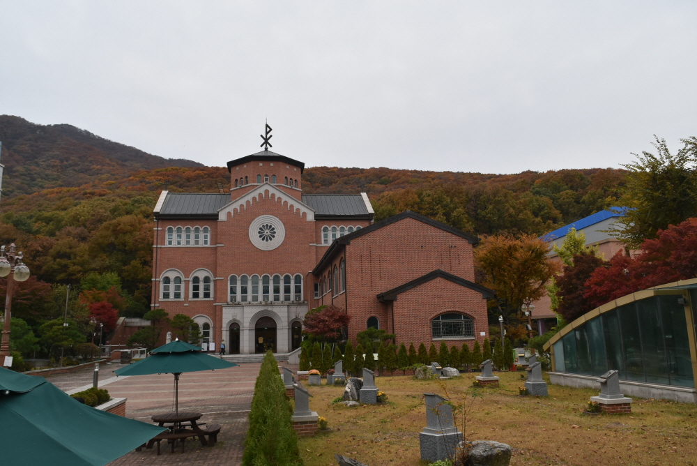 1000-DSC_8031.JPG