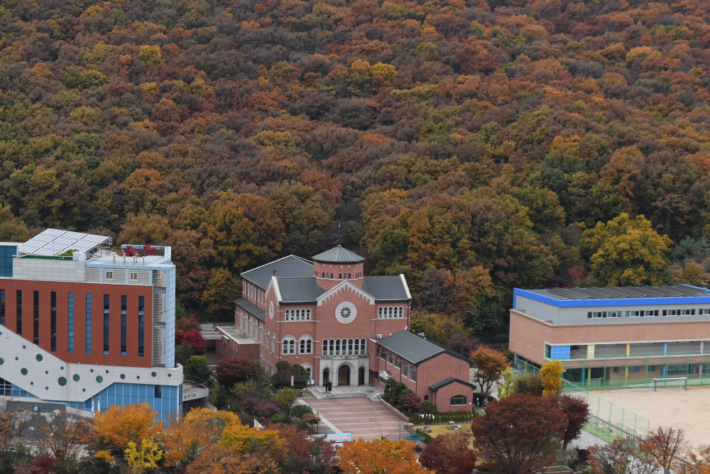 1000-DSC_8033.JPG
