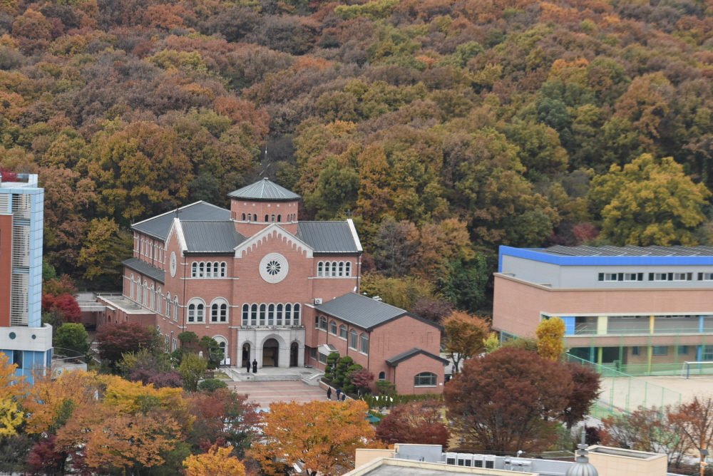 1000-DSC_8044.JPG