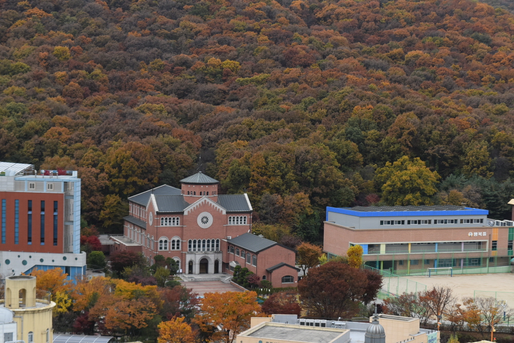 1000-DSC_8046.JPG