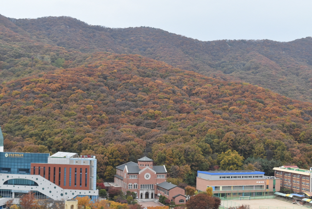 1000-DSC_8047.JPG