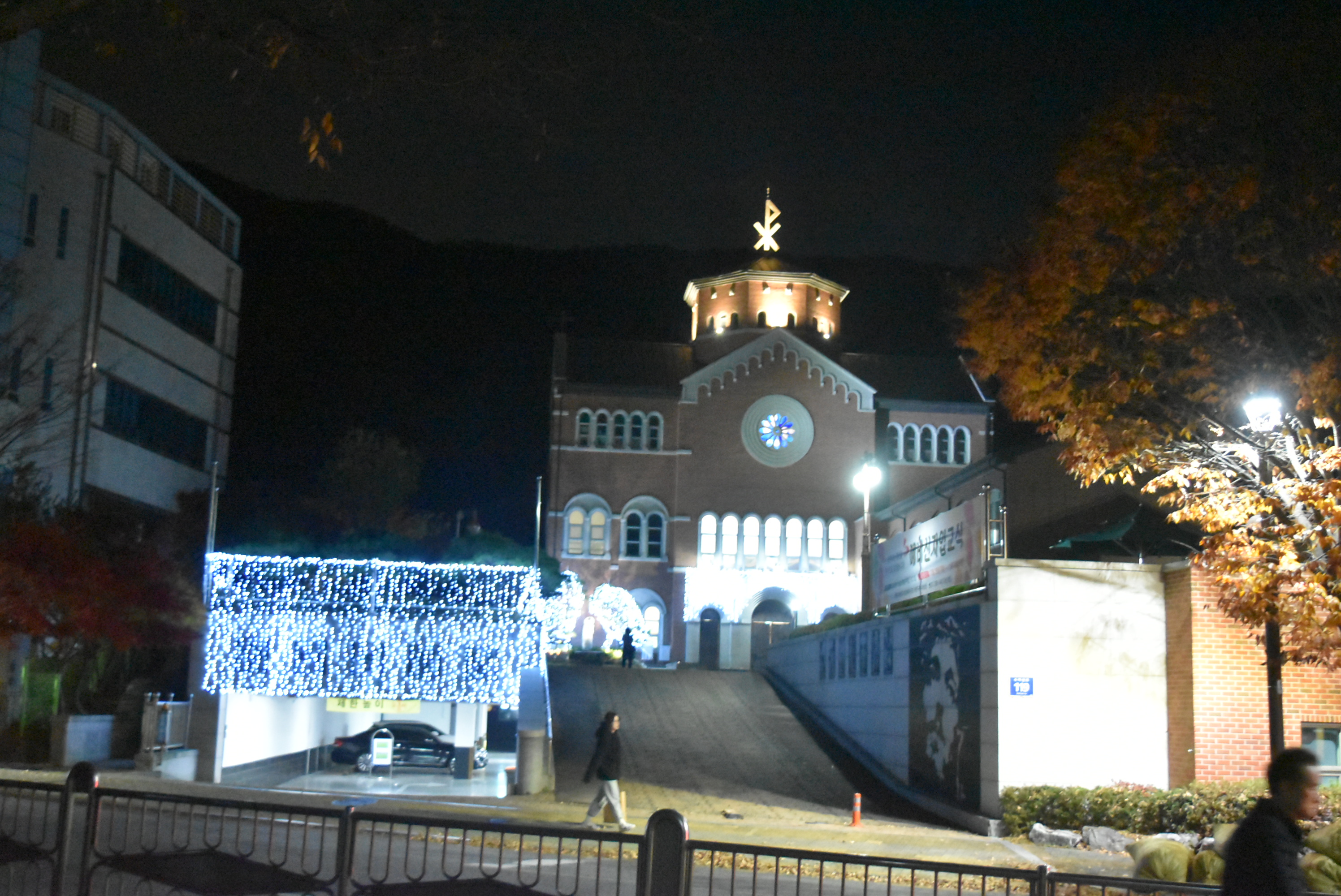 DSC_8397.JPG