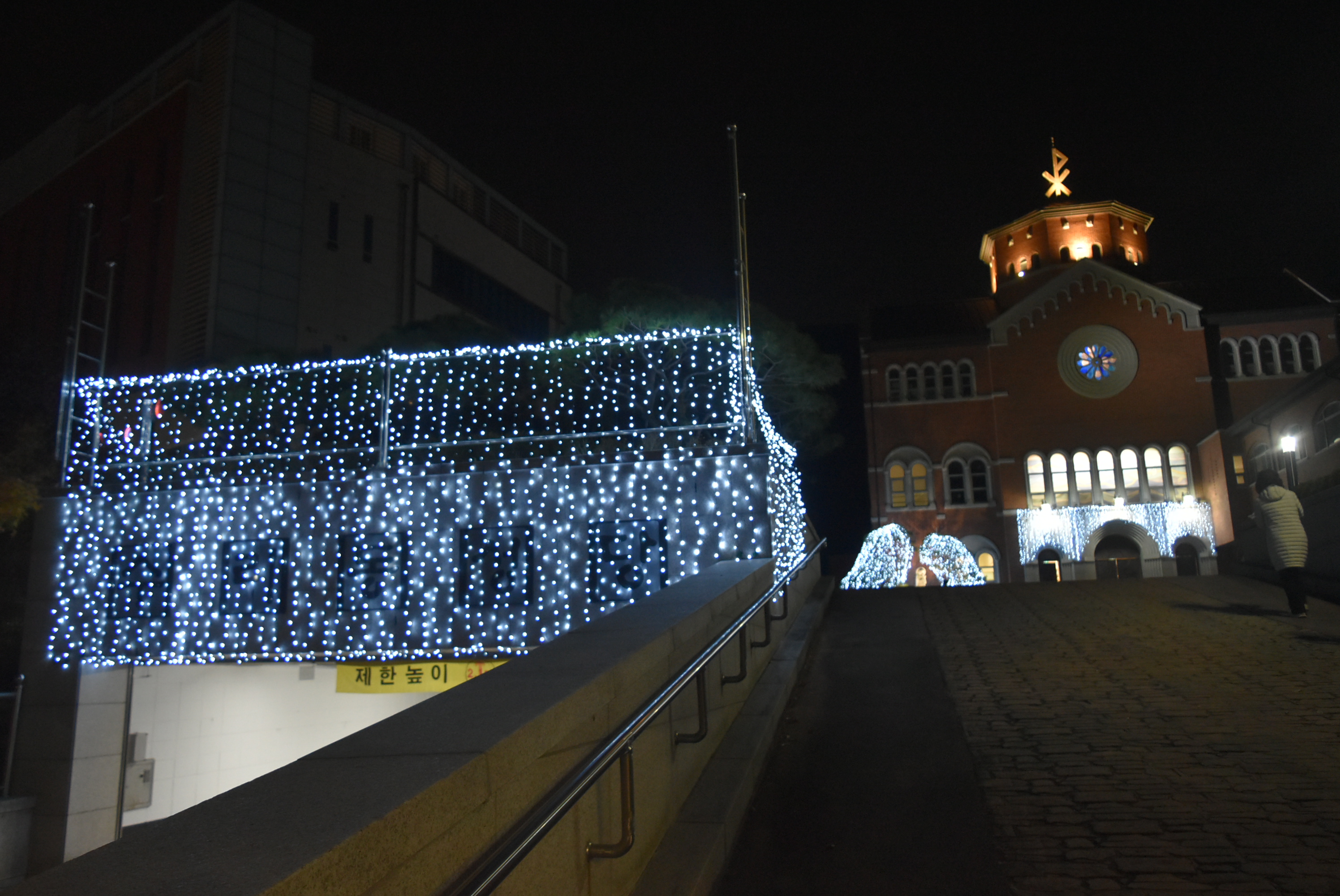DSC_8400.JPG