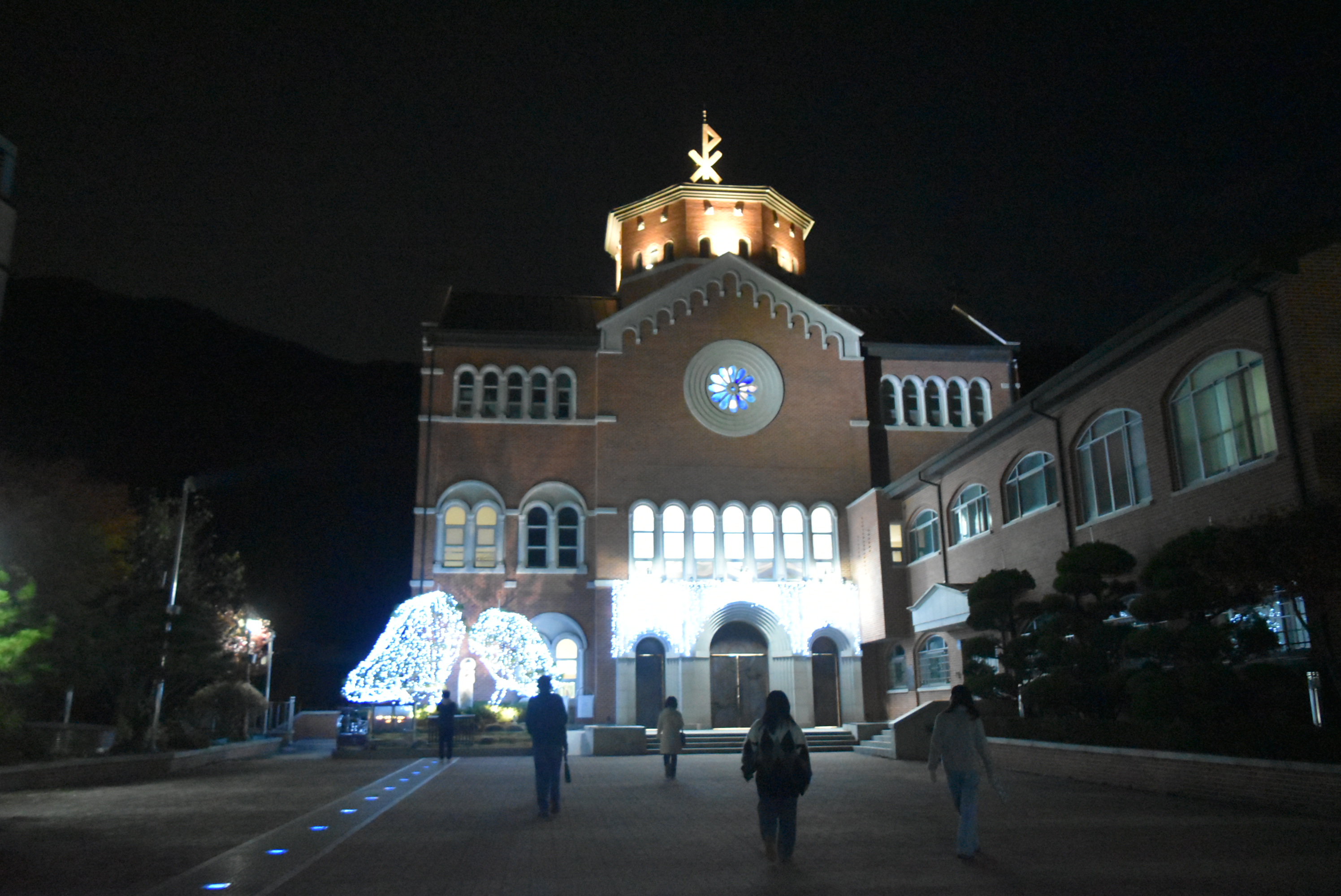 DSC_8401.JPG