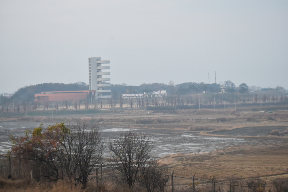 1000-DSC_8582.JPG