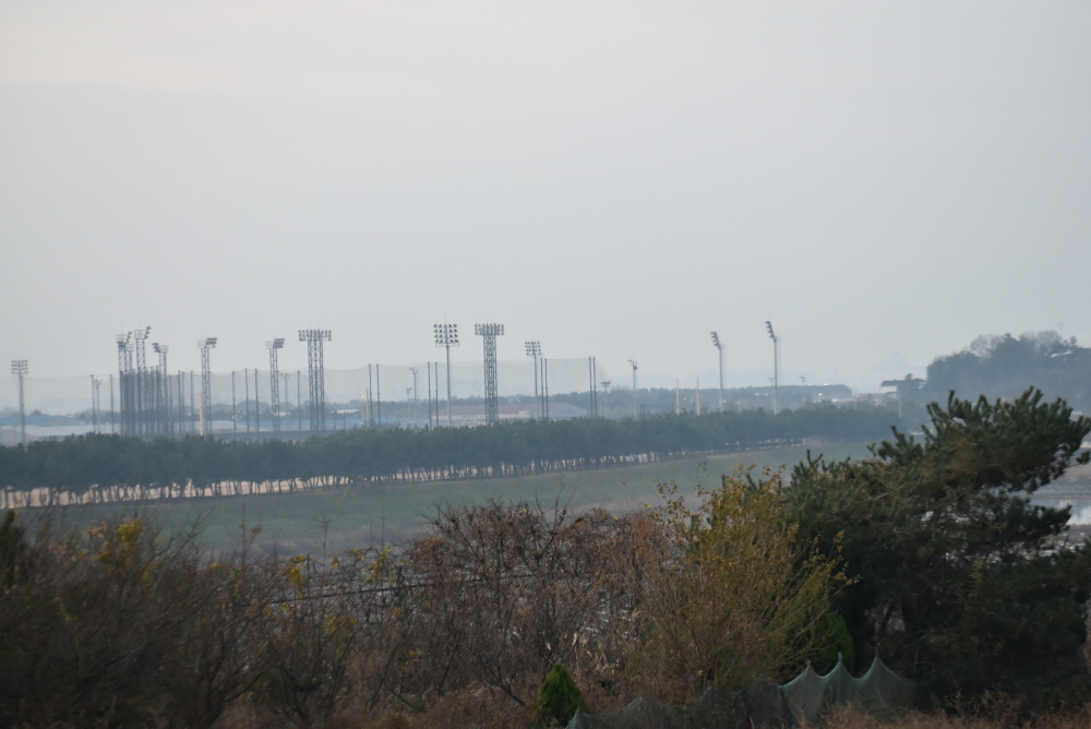 1000-DSC_8583.JPG