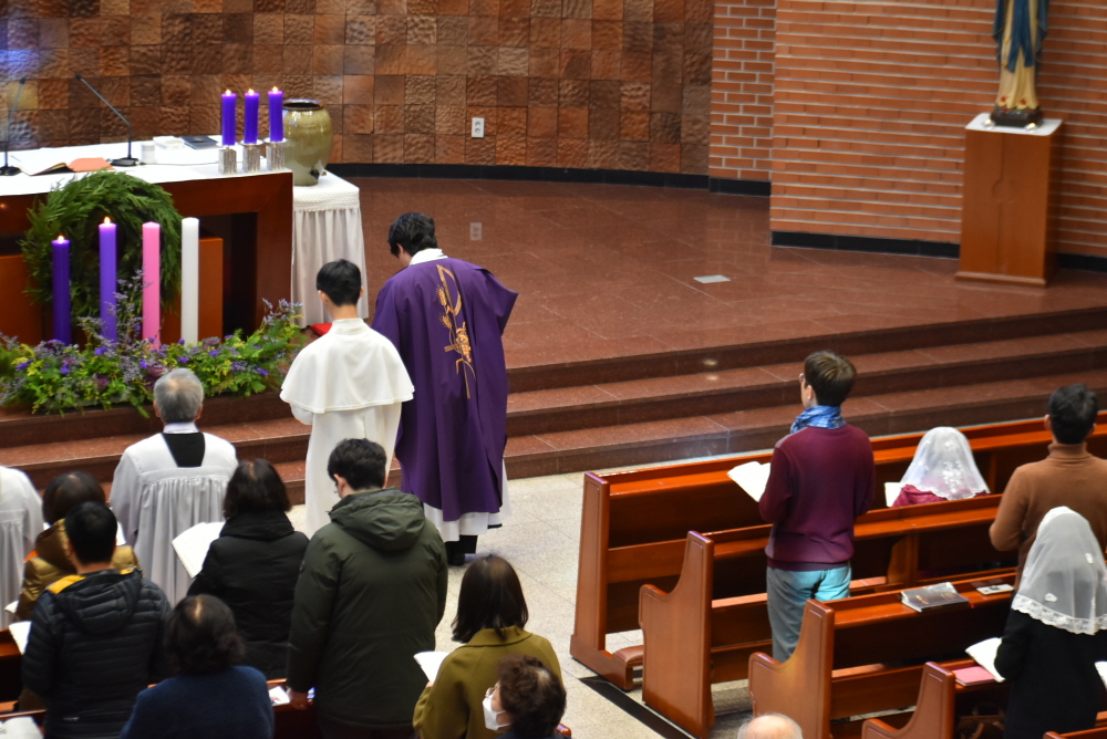 1000-DSC_8896.JPG