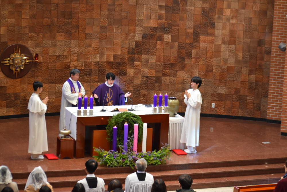 1000-DSC_8902.JPG