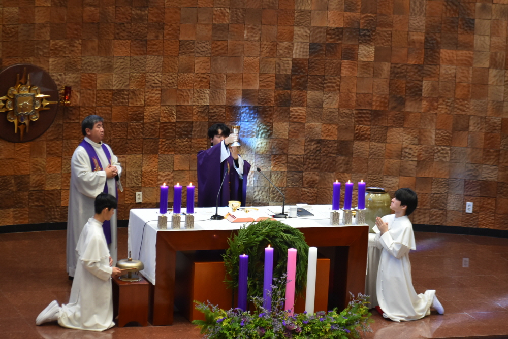 1000-DSC_8941.JPG