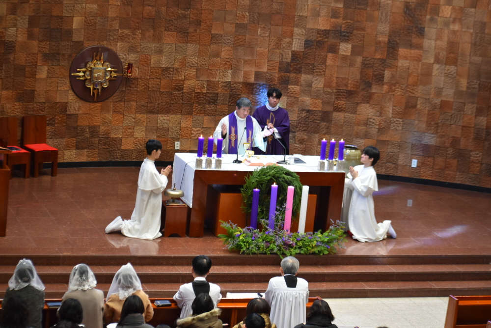 1000-DSC_8946.JPG