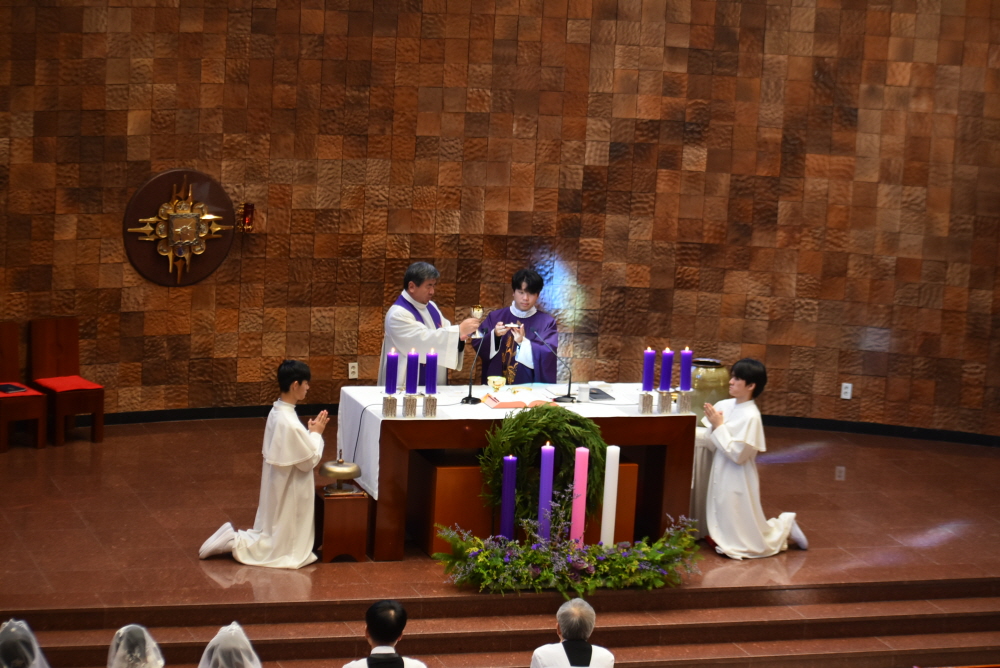 1000-DSC_8952.JPG