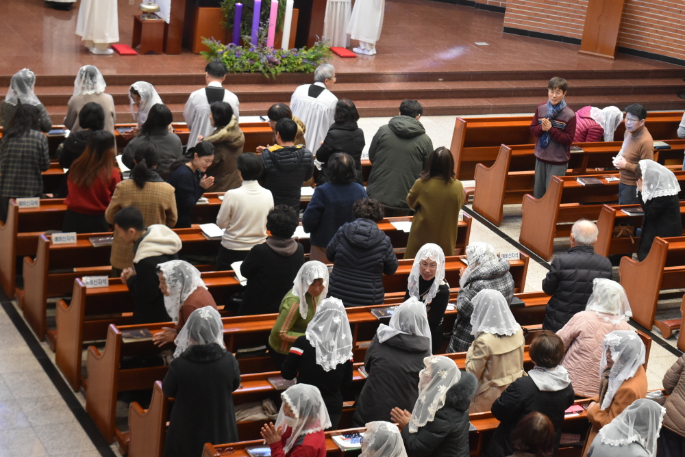 1000-DSC_8955.JPG