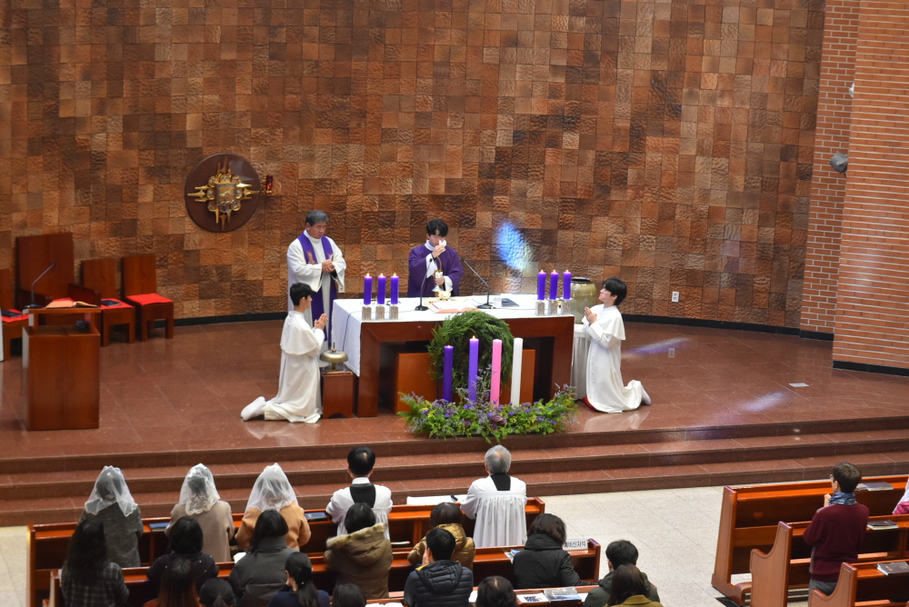 1000-DSC_8957.JPG