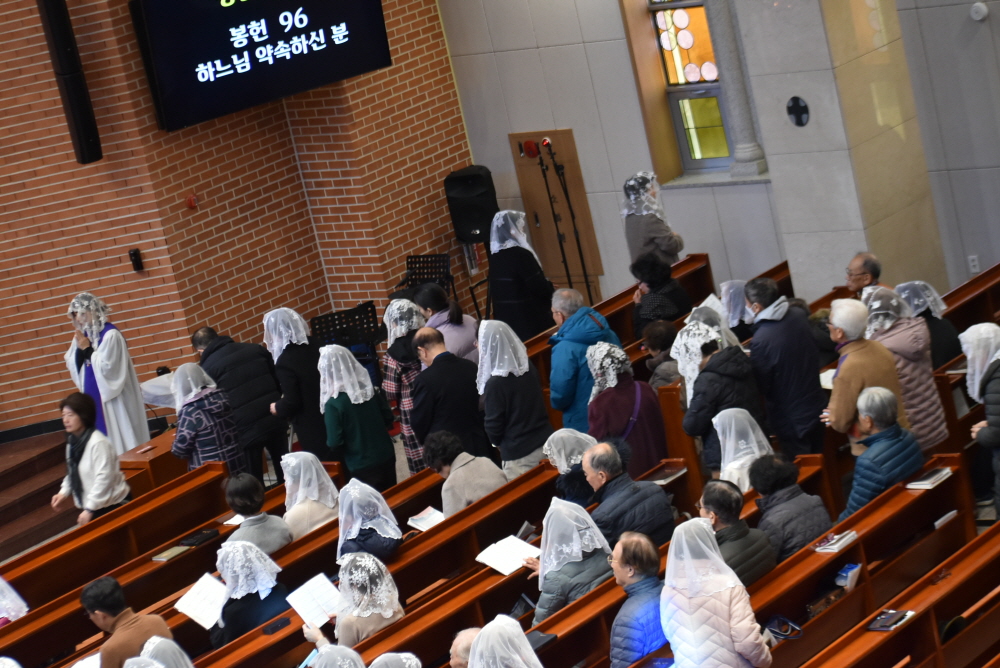 1000-DSC_8928.JPG