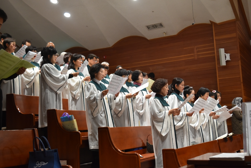 1000-DSC_9228.JPG