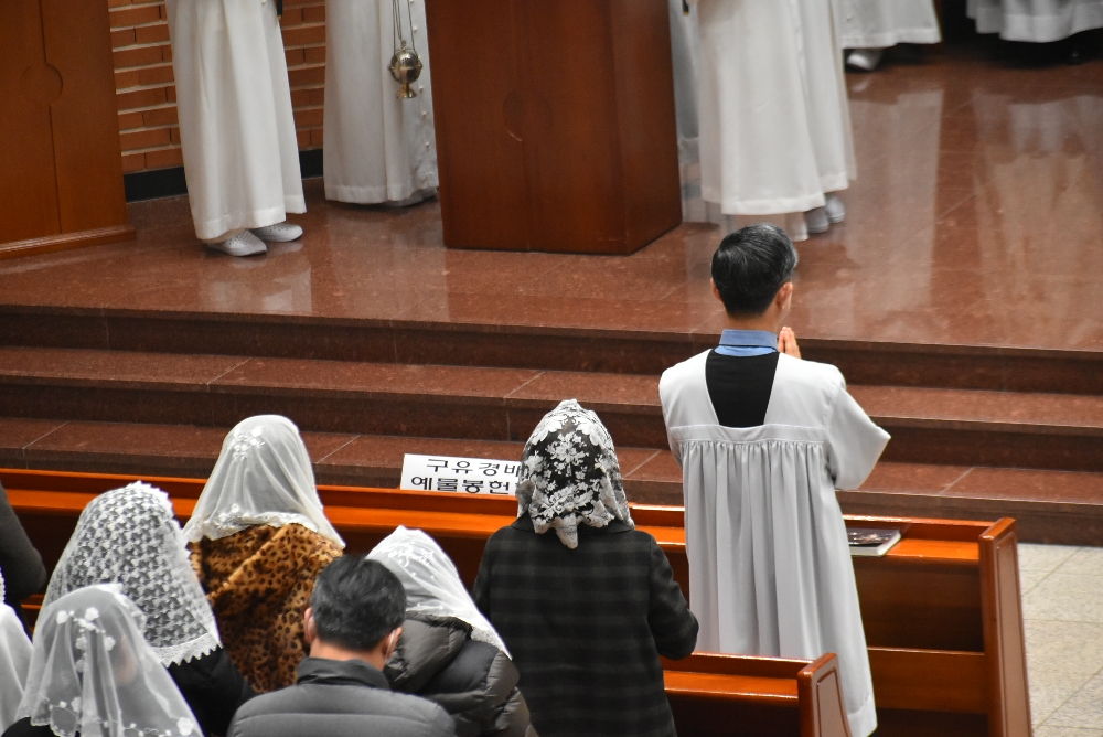 1000-DSC_9239.JPG