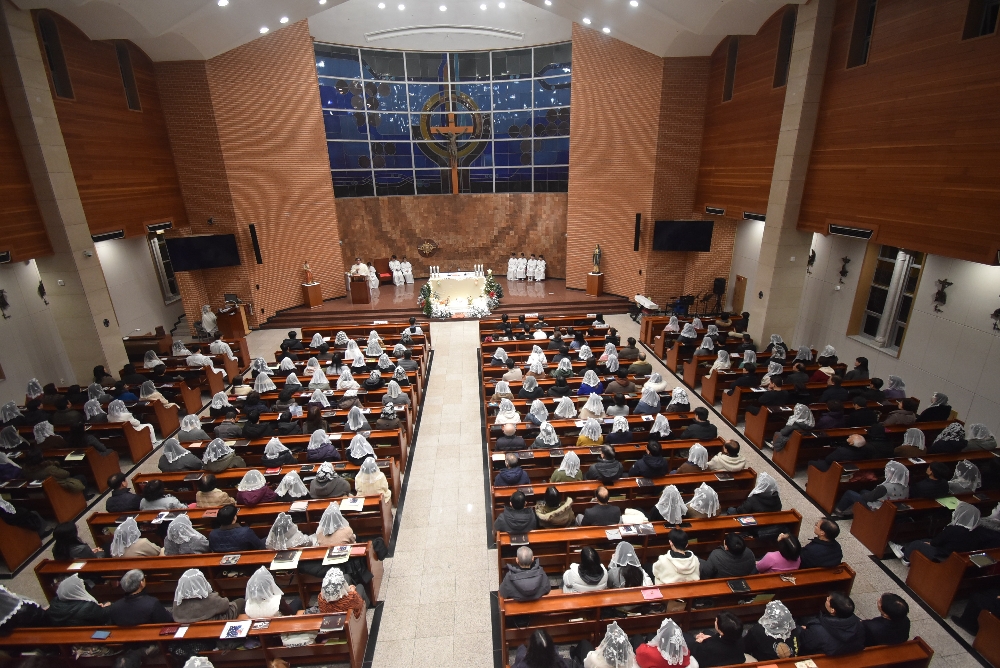1000-DSC_9246.JPG