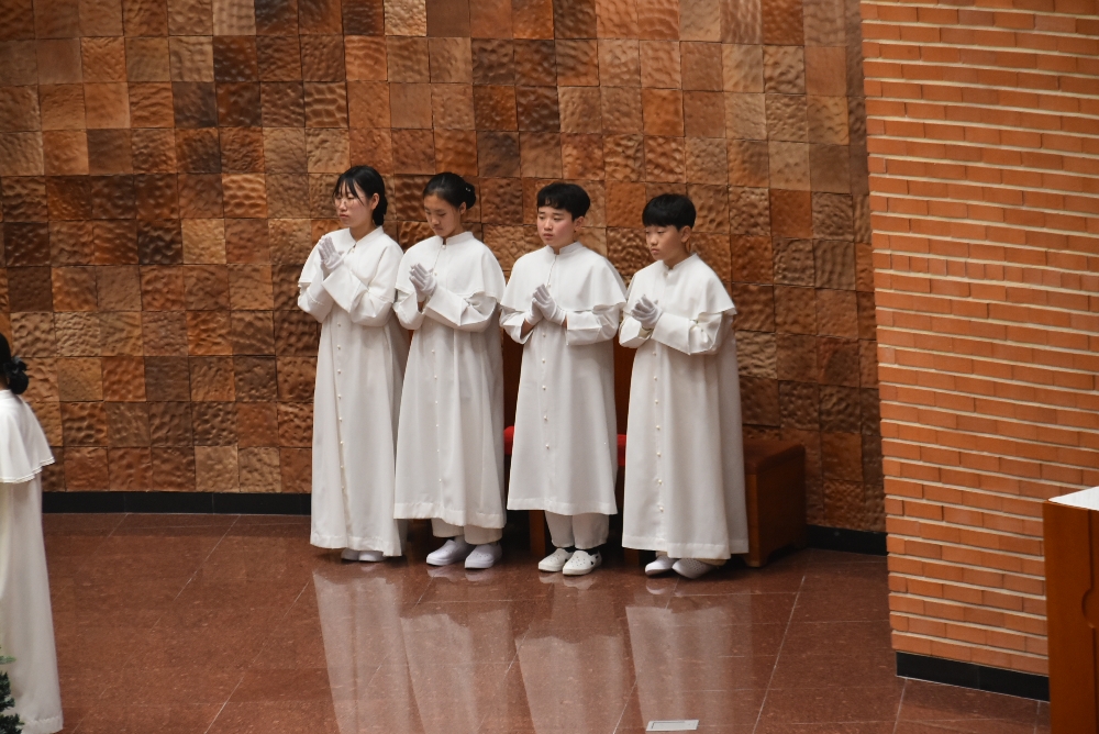 1000-DSC_9253.JPG